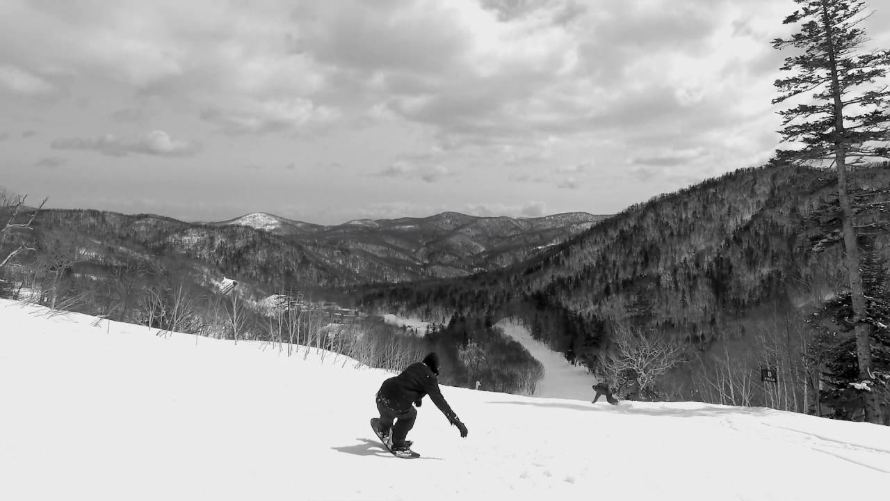 16/17 SNOW ITEM - UMLAUT ARTRIDE DIRECTIONAL CARBON EDITION | WISH 