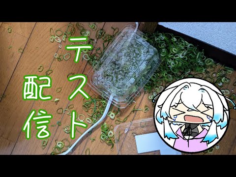 【テスト】祝ネット開通！確認配信します