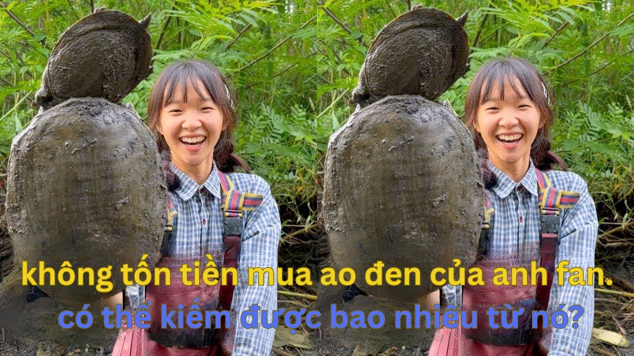 Phi Vụ 0 Đồng: Khi Ảo Muội và Anh Fan Cùng Nhau Khám Phá Bí Mật Dưới Ao Nước Đen 8 Năm.