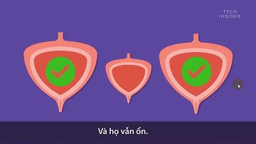 SINH 8- BÀI 40 VỆ SINH HỆ BÀI TIẾT NƯỚC TIỂU