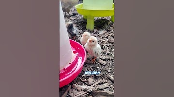 سورة الرعد #القرآن_الكريم #سورة_الرعد #سورة_البقرة #سورة_الكهف #القران_الكريم #القرآن