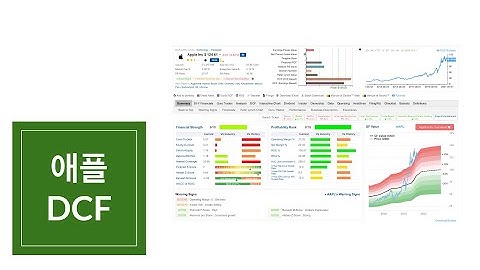 애플 주가를 DCF 모델로 평가하면 공정가치는 얼마로 나올까?
