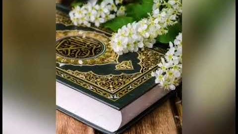 سورة القيامة من ١٤ إلى ١٩ مكرر