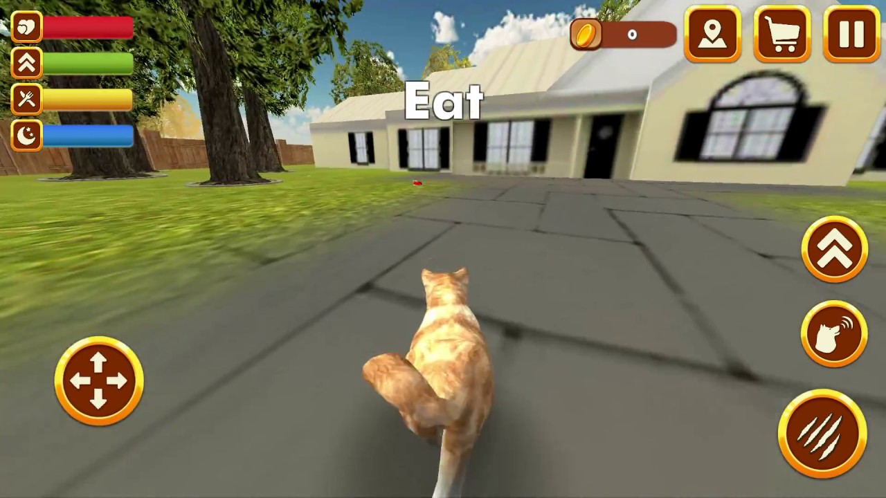Play With Your Dog: Shiba Inu - Android Gameplay - YouTube