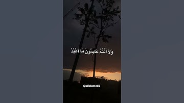 سورة الكافرون بصوت القارئ الشيخ ماهر المعيقلي #أكتب_شي_توجر_عليه #اكسبلور#explorepage #فلسطين