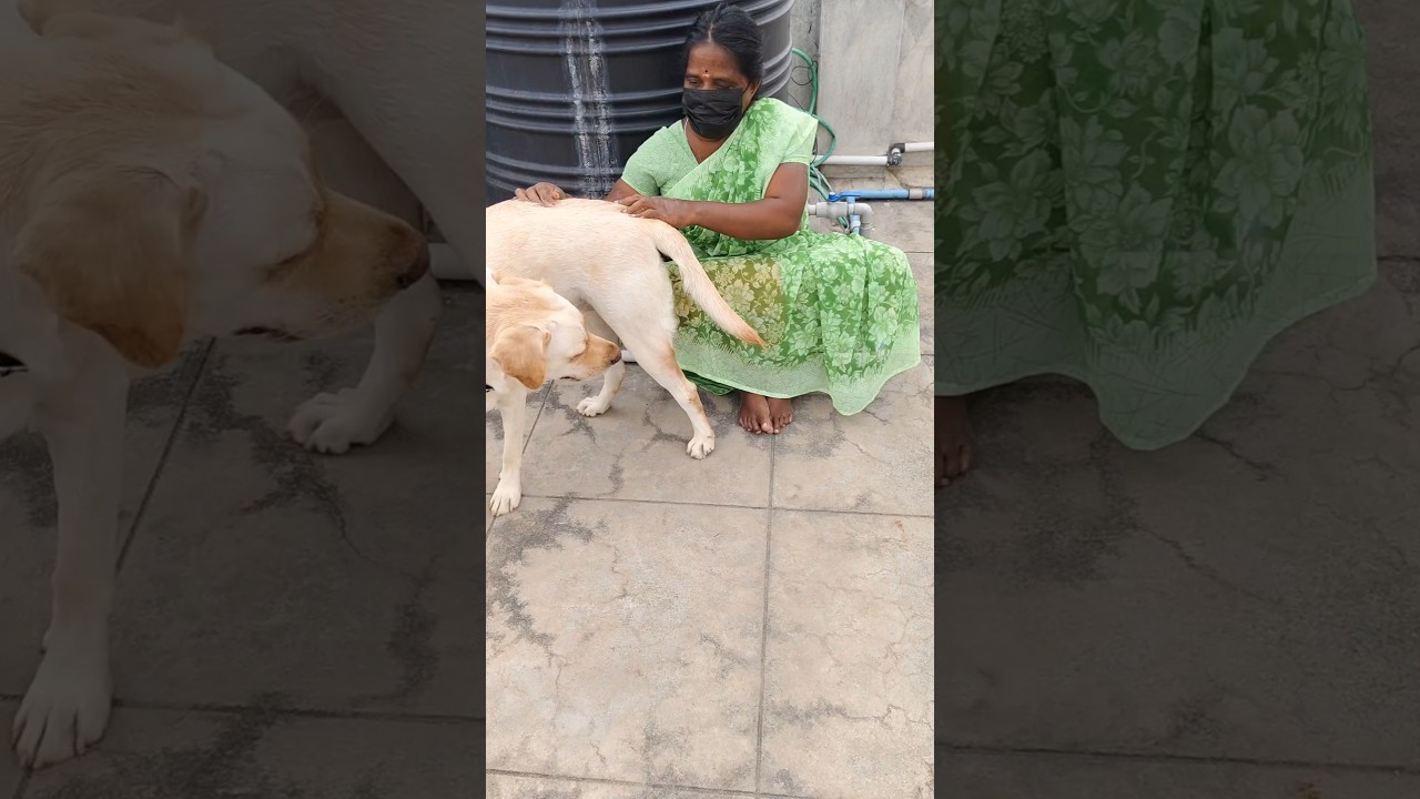 பூச்சி இல்ல ஆலன் 🐶 🐛😅  | Insect House Allen 🐶 🐛 😅