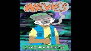 Video thumbnail of "Wolvves - Don't Give A Fuck"