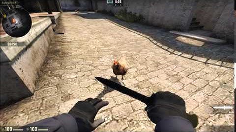 KILLING CHICKENS - CSGO