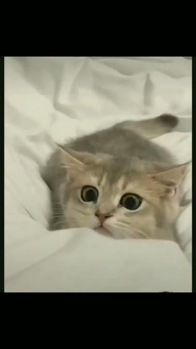 what-does-the-face-mean-youtubeshorts-subscribe-viral-cute