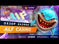 ⚡【神回】ビギナーズラックで爆勝ち！感謝します！【オンラインカジノ】【ALF CASINO】【kaekae ...