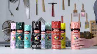 Clear coat spray paint for tumblers  Clear coat spray paint, Krylon,  Shampoo bottle