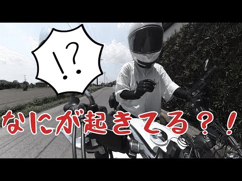 いぬちゃんねる - YouTube