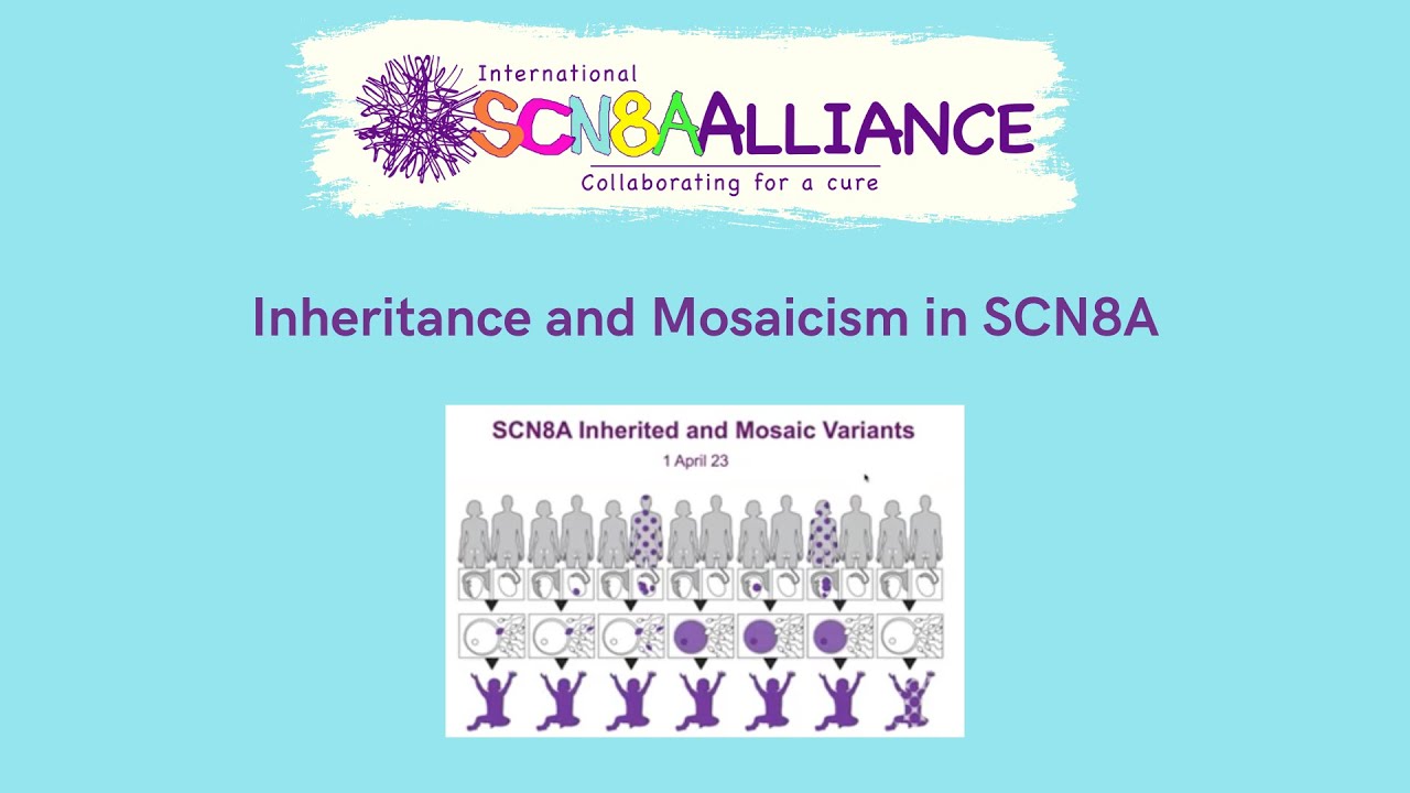 Inheritance and Mosaicism in SCN8A