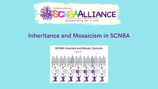 Inheritance and Mosaicism in SCN8A