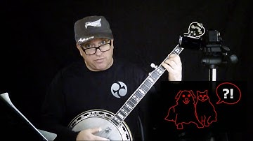 How to play in D without a capo!