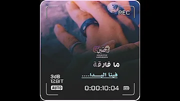 بدينا قصة حب نبيل 