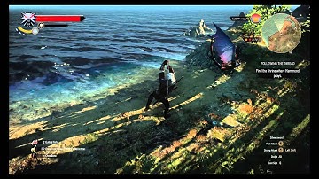 Witcher 3 Stuck in Texture Bug