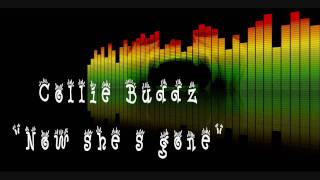 Collie Buddz  Now She S Gonerelationship Riddim