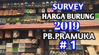 Survey harga burung 2019..Pasar Burung Pramuka, Episode1