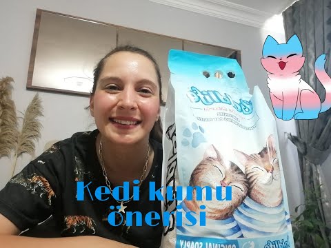 Goldlife Kedi Kumu Mp3 Mp4 Indir Dur