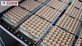 4000pcs/h wood/gas drying egg tray machine