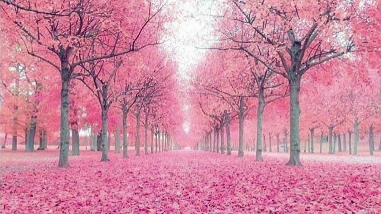 Chilled Cow Type Beat | Relaxed Chill Beat “THE FALL"