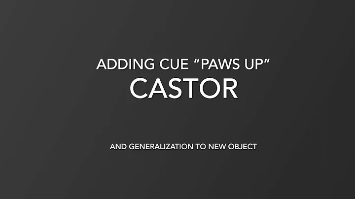 Paws Up teaching cue and generalizing to new platf...