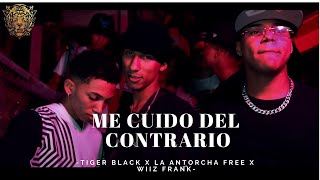 Me Cuido del Contrario  - Tiger Black ❌ La Antorcha Free ❌ Wiiz Frank  (VIDEO OFICIAL)