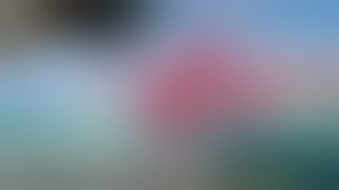 Maneater - Official Launch Trailer