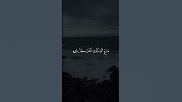 وترى الجبال تحسبها جامدة | القارئ عبد الرحمن مسعد | قرآن كريم ..♡