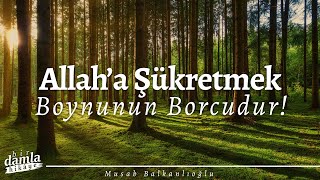 Allaha Şükretmek Herkesin Boynunun Borcudur Musab Balkanlıoğlu