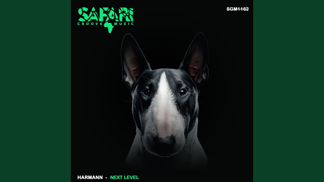 Obejrzyj Next Level (Original Mix) w YouTube Obejrzyj Next Level (Original Mix) w YouTube