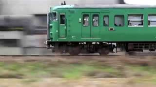 JR舞鶴線の普通電車と、西舞鶴・京田川(女布川)のシロサギ　2019/2/9(土)