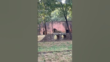 Daily vlog challenge | day 2