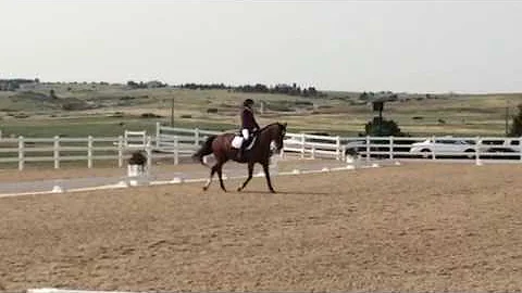 Gem 4-1 CHP August 4, 2017
