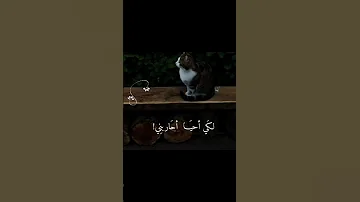 خيالي م تعب م ثلي غريب لست أعرفني 