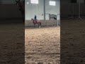 Rolka z jazdy🫶 ruda dziś była mega wolna eh #yt #horse #ytshorts #equestrian #shorts #dc #fyp #fypシ