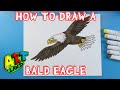 How to draw a bald eagle
