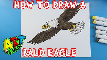 How to Draw a BALD EAGLE!!!