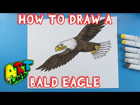 How to Draw a BALD EAGLE!!!