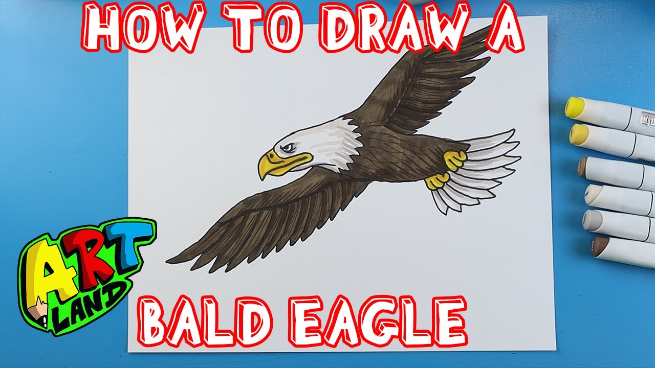Bald Eagle Drawing - How To Draw A Bald Eagle Step By Step