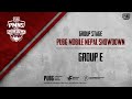Group E | Group Stage | PUBG Mobile Nepal Showdown 2020