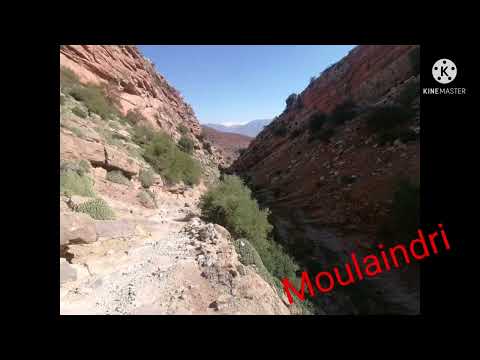 اغنية رائعة للمرحوم حدو والشاوش في التمانينيات من القرن الماضي 