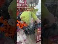 クレーンゲームプロ 風の王 かけぞう 本日の釣果その3 ダブルゲット