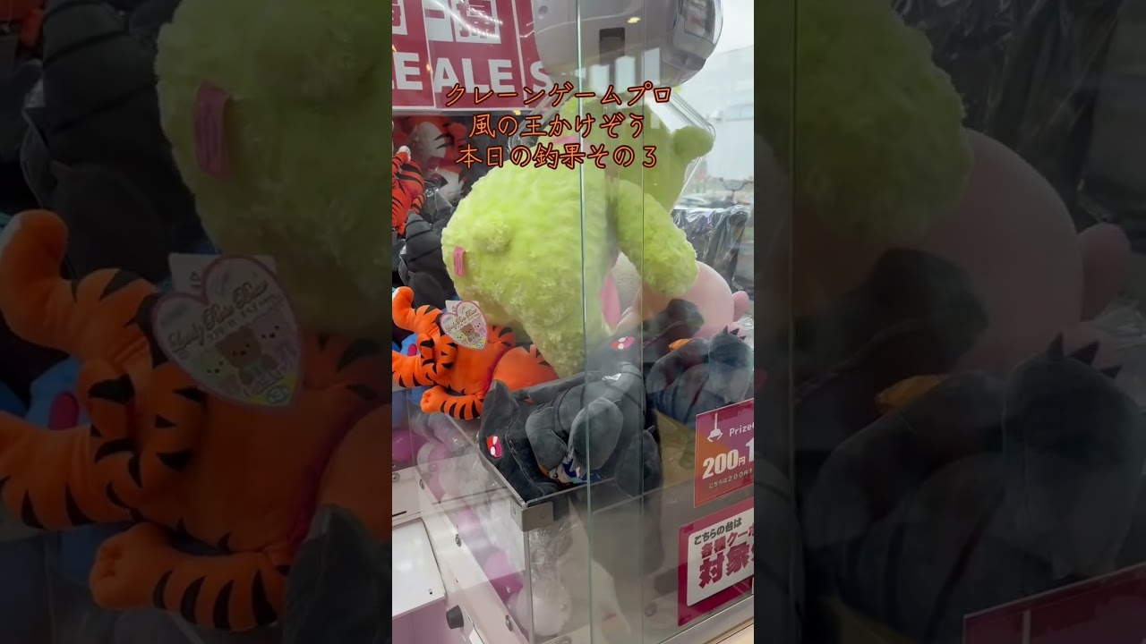 クレーンゲームプロ 風の王 かけぞう 本日の釣果その3 ダブルゲット