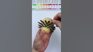 Nhím khoai tây và hạt hướng dương