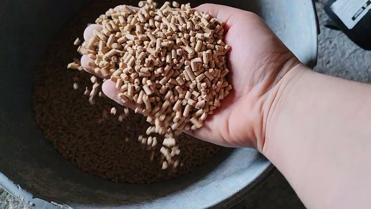 Okuldan sonra tavuk bakımı///tüm işler tamamen bana kaldı... 