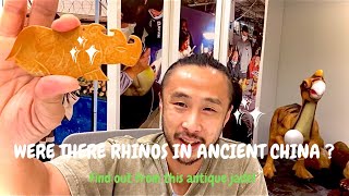 Were There Rhinoceroses In Ancient China?