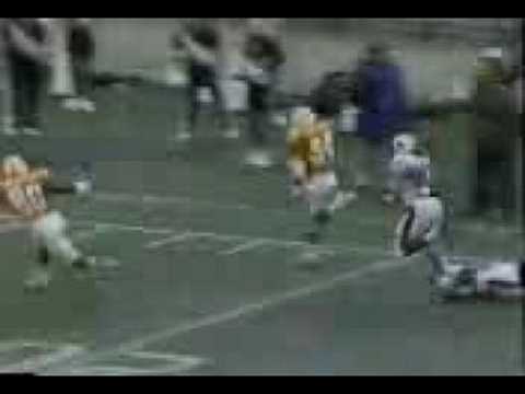 Reggie Cobb TD vs. Auburn '89