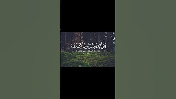 سورة الاسراء الآية ( 71 )                            Surah Al-Isra, verse (71)